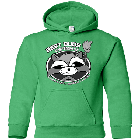Sweatshirts Irish Green / YS Guardians Of The Greenery Youth Hoodie