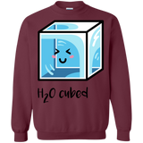 Sweatshirts Maroon / S H2O Cubed Crewneck Sweatshirt