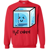 Sweatshirts Red / S H2O Cubed Crewneck Sweatshirt