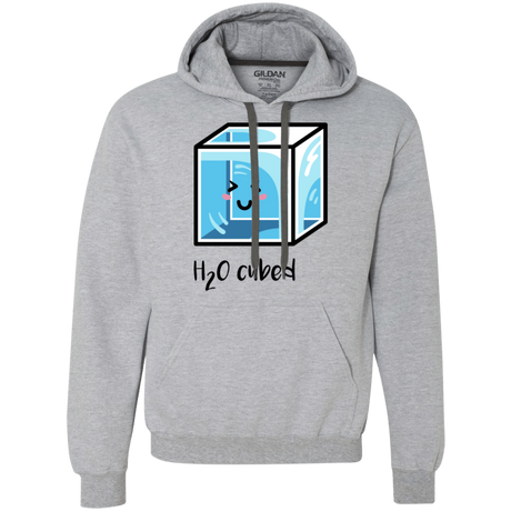 Sweatshirts Sport Grey / 2XL H2O Cubed Premium Fleece Hoodie