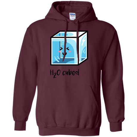 Sweatshirts Maroon / S H2O Cubed Pullover Hoodie