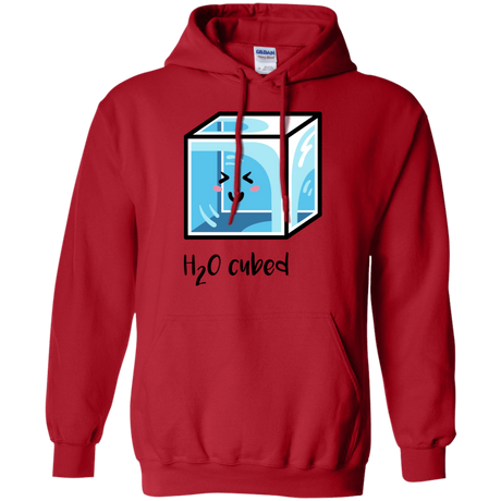 Sweatshirts Red / S H2O Cubed Pullover Hoodie