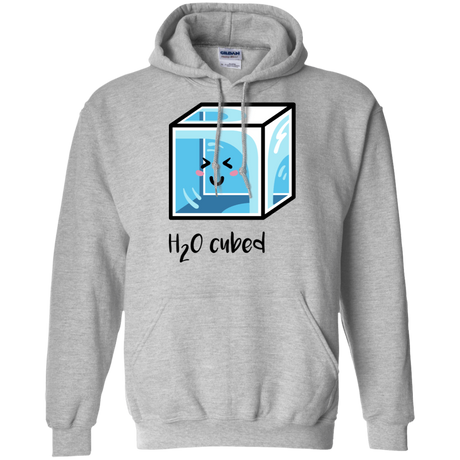 Sweatshirts Sport Grey / S H2O Cubed Pullover Hoodie