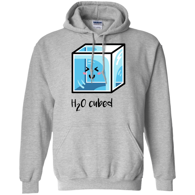 Sweatshirts Sport Grey / S H2O Cubed Pullover Hoodie