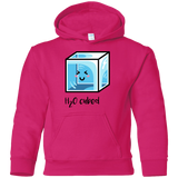 Sweatshirts Heliconia / YS H2O Cubed Youth Hoodie