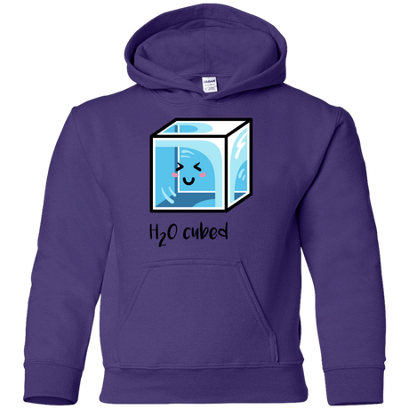 Sweatshirts Purple / YS H2O Cubed Youth Hoodie