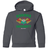 Sweatshirts Charcoal / YS Hahaha University Youth Hoodie