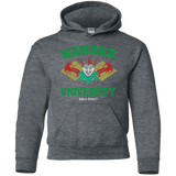 Sweatshirts Dark Heather / YS Hahaha University Youth Hoodie