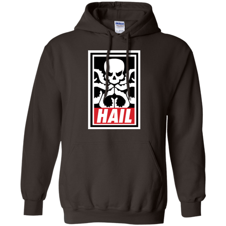 Sweatshirts Dark Chocolate / Small Hail Hydra Pullover Hoodie