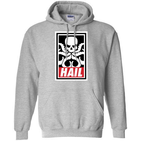 Sweatshirts Sport Grey / Small Hail Hydra Pullover Hoodie