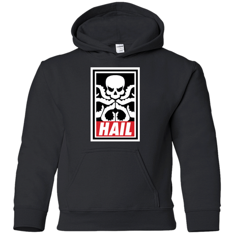 Sweatshirts Black / YS Hail Hydra Youth Hoodie