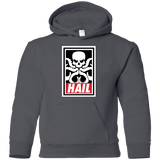 Sweatshirts Charcoal / YS Hail Hydra Youth Hoodie