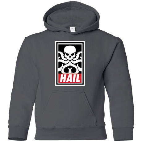 Sweatshirts Charcoal / YS Hail Hydra Youth Hoodie