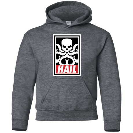 Sweatshirts Dark Heather / YS Hail Hydra Youth Hoodie