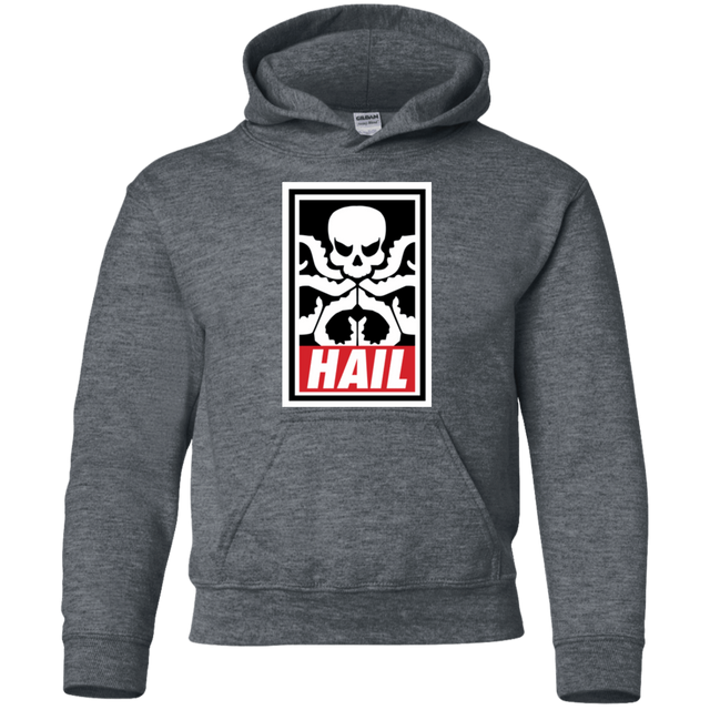 Sweatshirts Dark Heather / YS Hail Hydra Youth Hoodie