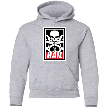 Sweatshirts Sport Grey / YS Hail Hydra Youth Hoodie