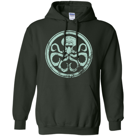 Sweatshirts Forest Green / Small Hail Squidra Pullover Hoodie