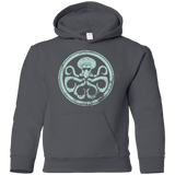 Sweatshirts Charcoal / YS Hail Squidra Youth Hoodie