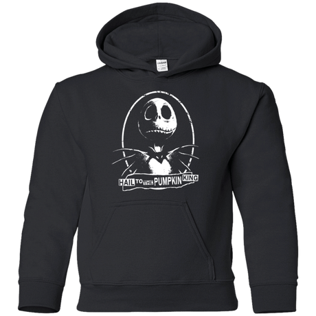 Sweatshirts Black / YS Hail To The King Youth Hoodie