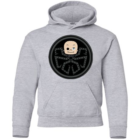 Sweatshirts Sport Grey / YS Hail Toys Youth Hoodie