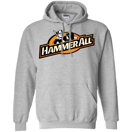 Sweatshirts Sport Grey / Small Hammerall Pullover Hoodie