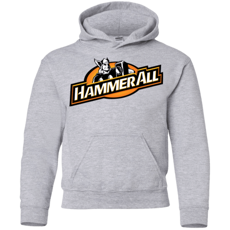 Sweatshirts Sport Grey / YS Hammerall Youth Hoodie