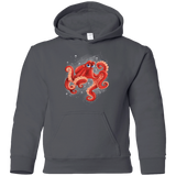 Sweatshirts Charcoal / YS Hank Youth Hoodie