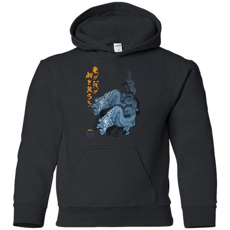 Sweatshirts Black / YS Hanzo Youth Hoodie