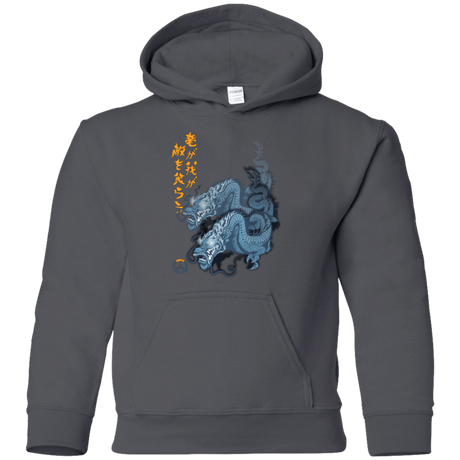 Sweatshirts Charcoal / YS Hanzo Youth Hoodie