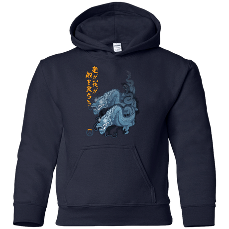 Sweatshirts Navy / YS Hanzo Youth Hoodie