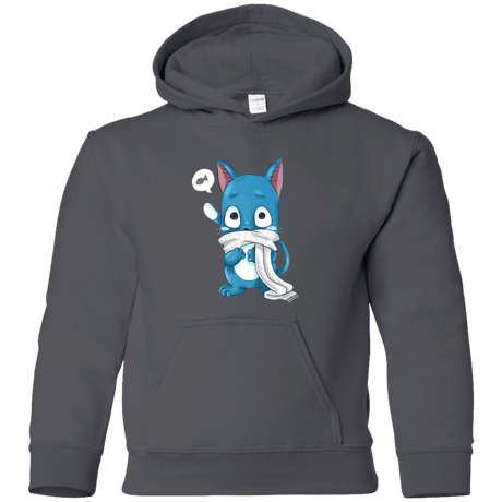 Sweatshirts Charcoal / YS Happy Youth Hoodie