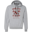 Sweatshirts Sport Grey / Small Harley's Academy Premium Fleece Hoodie