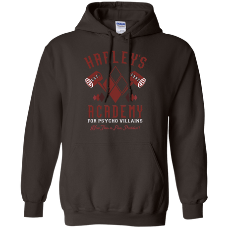 Sweatshirts Dark Chocolate / Small Harley's Academy Pullover Hoodie