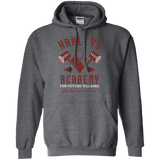 Sweatshirts Dark Heather / Small Harley's Academy Pullover Hoodie