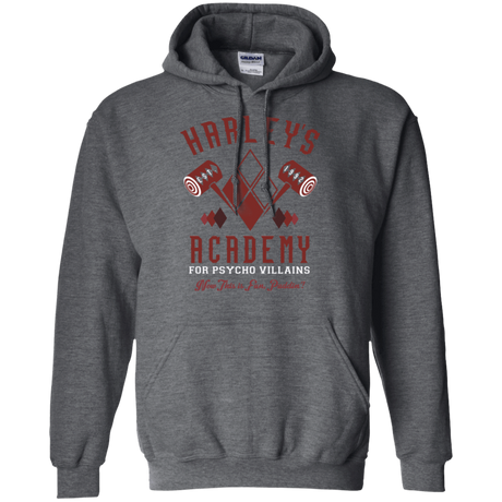 Sweatshirts Dark Heather / Small Harley's Academy Pullover Hoodie