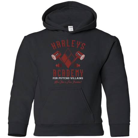 Sweatshirts Black / YS Harley's Academy Youth Hoodie