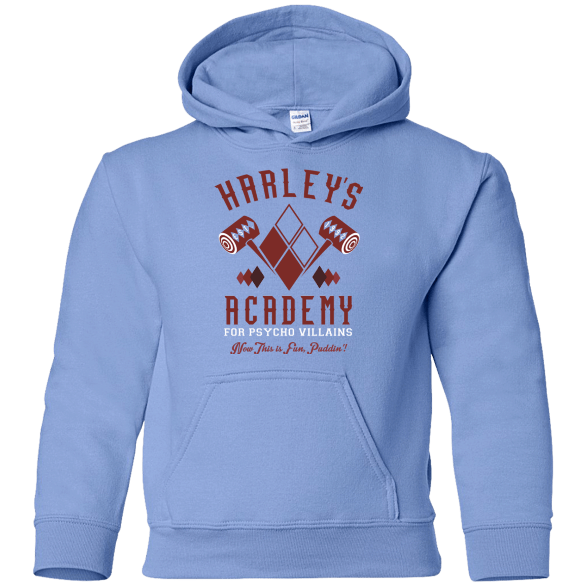 Sweatshirts Carolina Blue / YS Harley's Academy Youth Hoodie