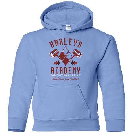 Sweatshirts Carolina Blue / YS Harley's Academy Youth Hoodie
