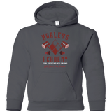 Sweatshirts Charcoal / YS Harley's Academy Youth Hoodie