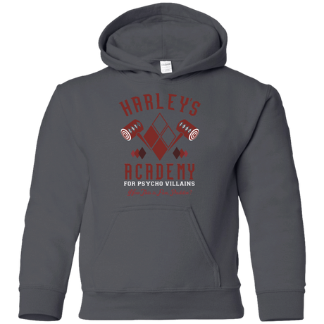 Sweatshirts Charcoal / YS Harley's Academy Youth Hoodie