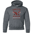 Sweatshirts Dark Heather / YS Harley's Academy Youth Hoodie