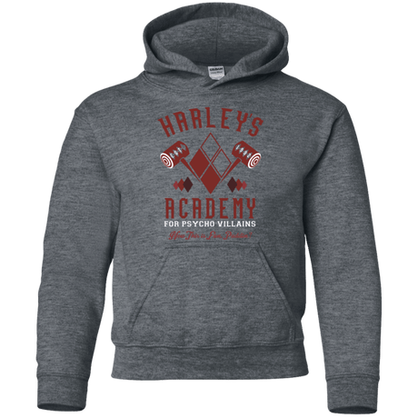 Sweatshirts Dark Heather / YS Harley's Academy Youth Hoodie