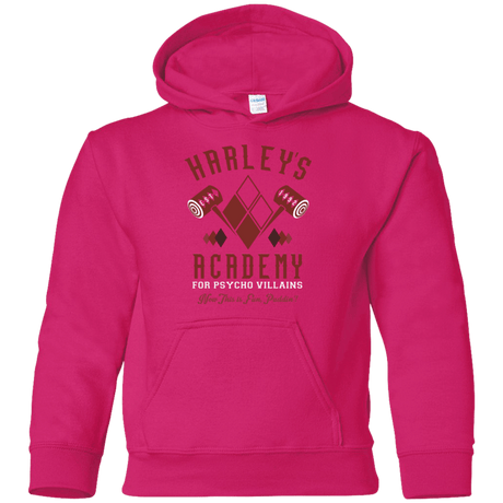 Sweatshirts Heliconia / YS Harley's Academy Youth Hoodie