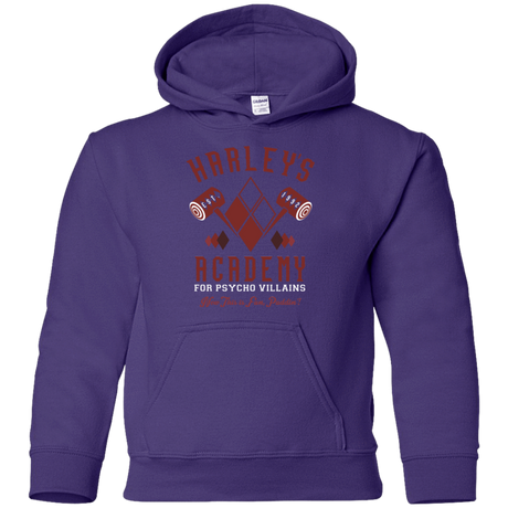 Sweatshirts Purple / YS Harley's Academy Youth Hoodie