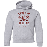 Sweatshirts Sport Grey / YS Harley's Academy Youth Hoodie