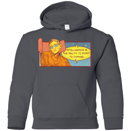 Sweatshirts Charcoal / YS HAWKING intelligance Youth Hoodie