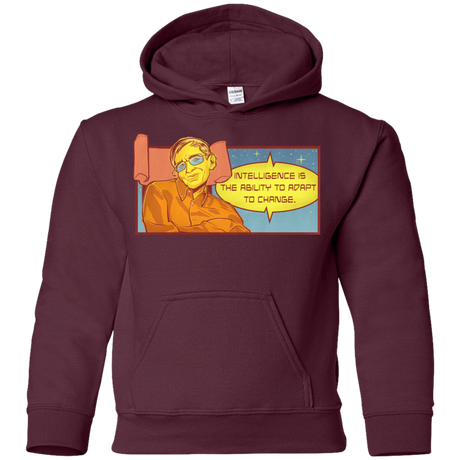 Sweatshirts Maroon / YS HAWKING intelligance Youth Hoodie