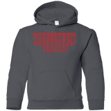 Sweatshirts Charcoal / YS Hawkins 83 Youth Hoodie