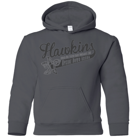 Sweatshirts Charcoal / YS Hawkins Role Playing Tournament Youth Hoodie