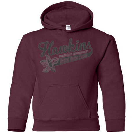 Sweatshirts Maroon / YS Hawkins Role Playing Tournament Youth Hoodie